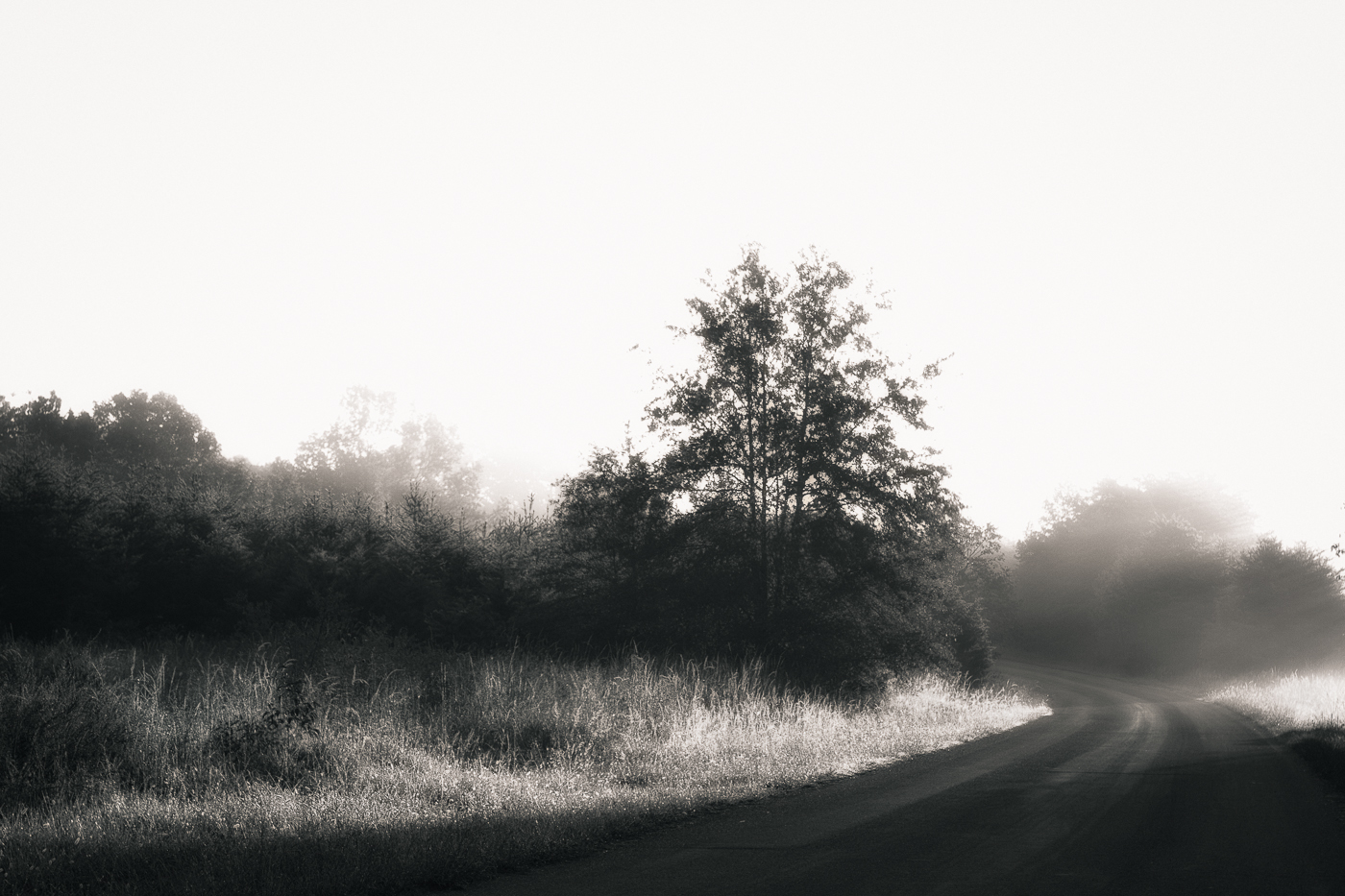 Into The Light - Road - Photo